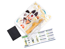 Load image into Gallery viewer, Human Anatomy