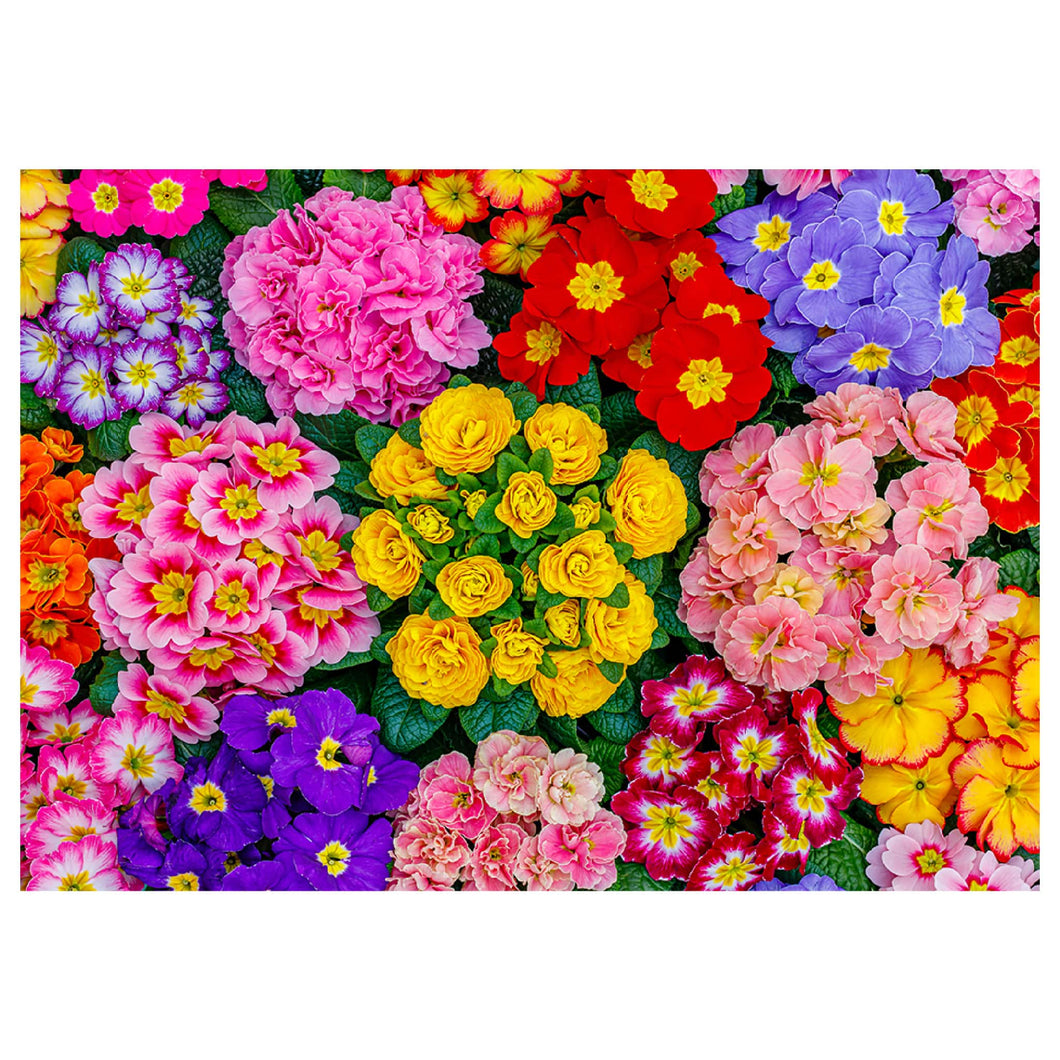 Wooden Puzzle: Blooming Flowers 505pcs
